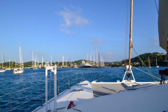 Anchor_Cat