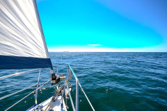 DSC_0126-Kopie-2-e1543756244533