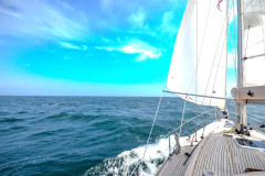 DSC_0212-e1543755666230