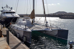 Malisi_teneriffa-San_miguel