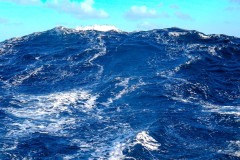Welle-in-Portugal
