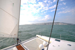 WhiteCliffs_Cat-scaled