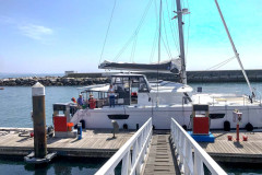 Yachtueberfuehrung_Katamaran-scaled