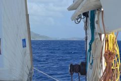 Sailwork_Caribean-scaled