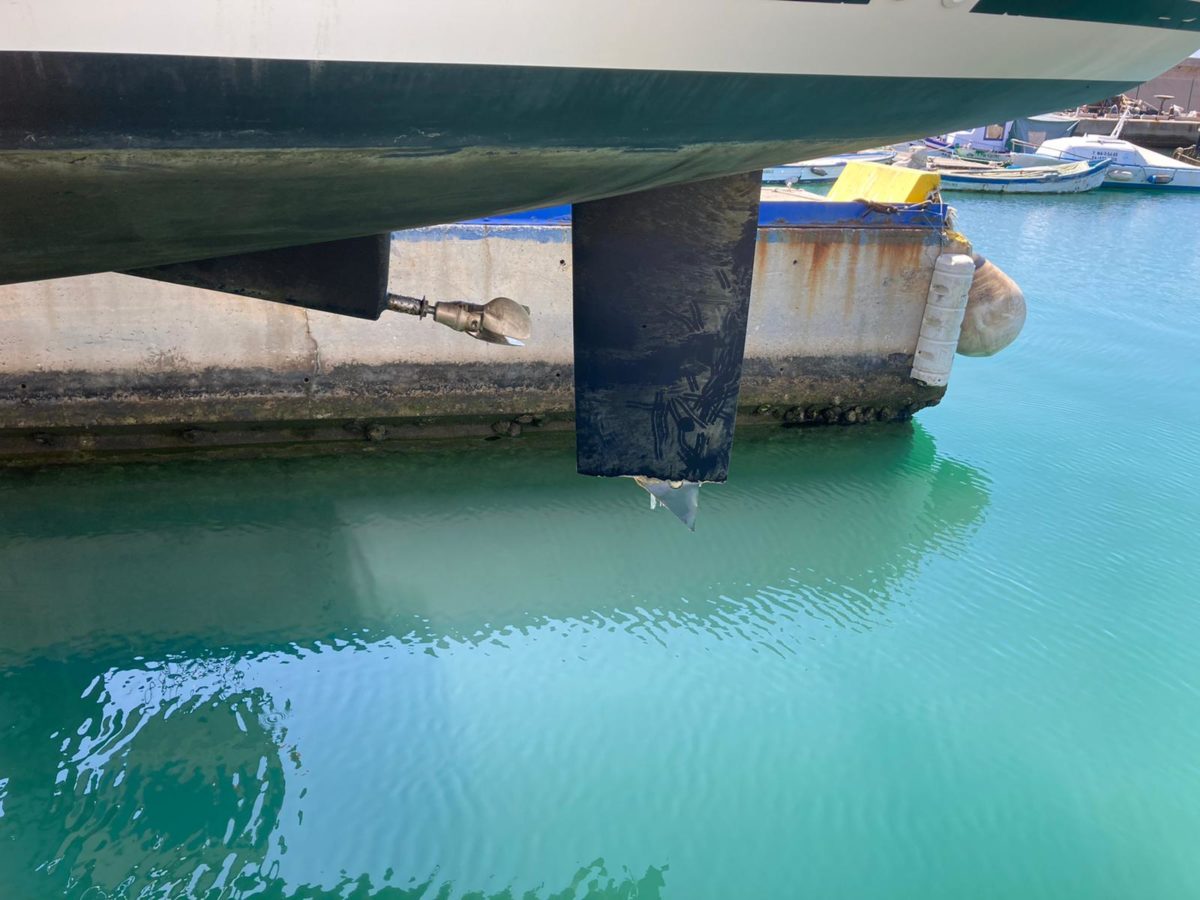 Panik Vor Lissabon Segelyacht Nach Orca Angriff Gesunken - 95ffo4i